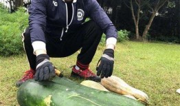 邯郸肥乡新瓜最新爆料,揭秘肥乡特色瓜果新风尚